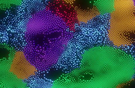 design-media_banner.jpg
